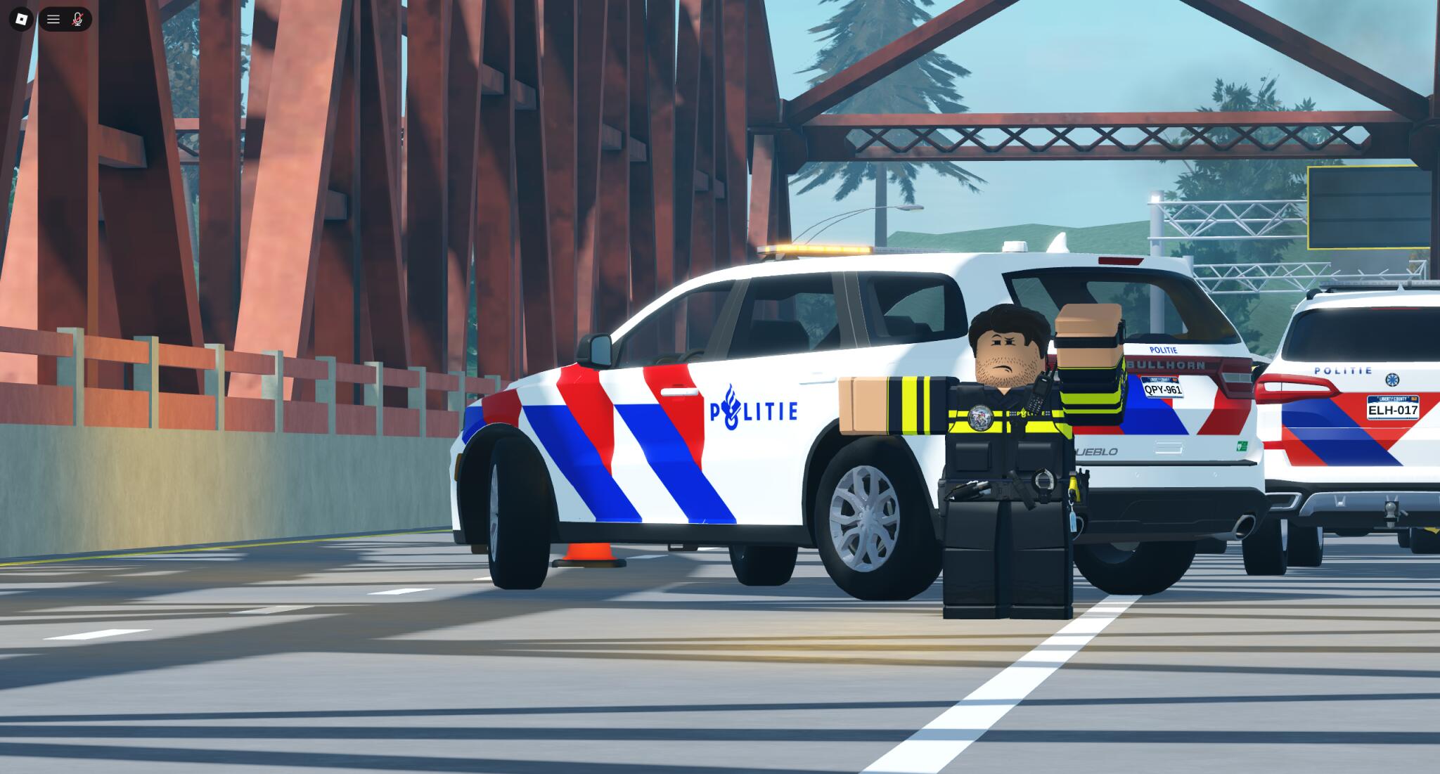 Discovery splash banner for The Hague Roleplay Discord server