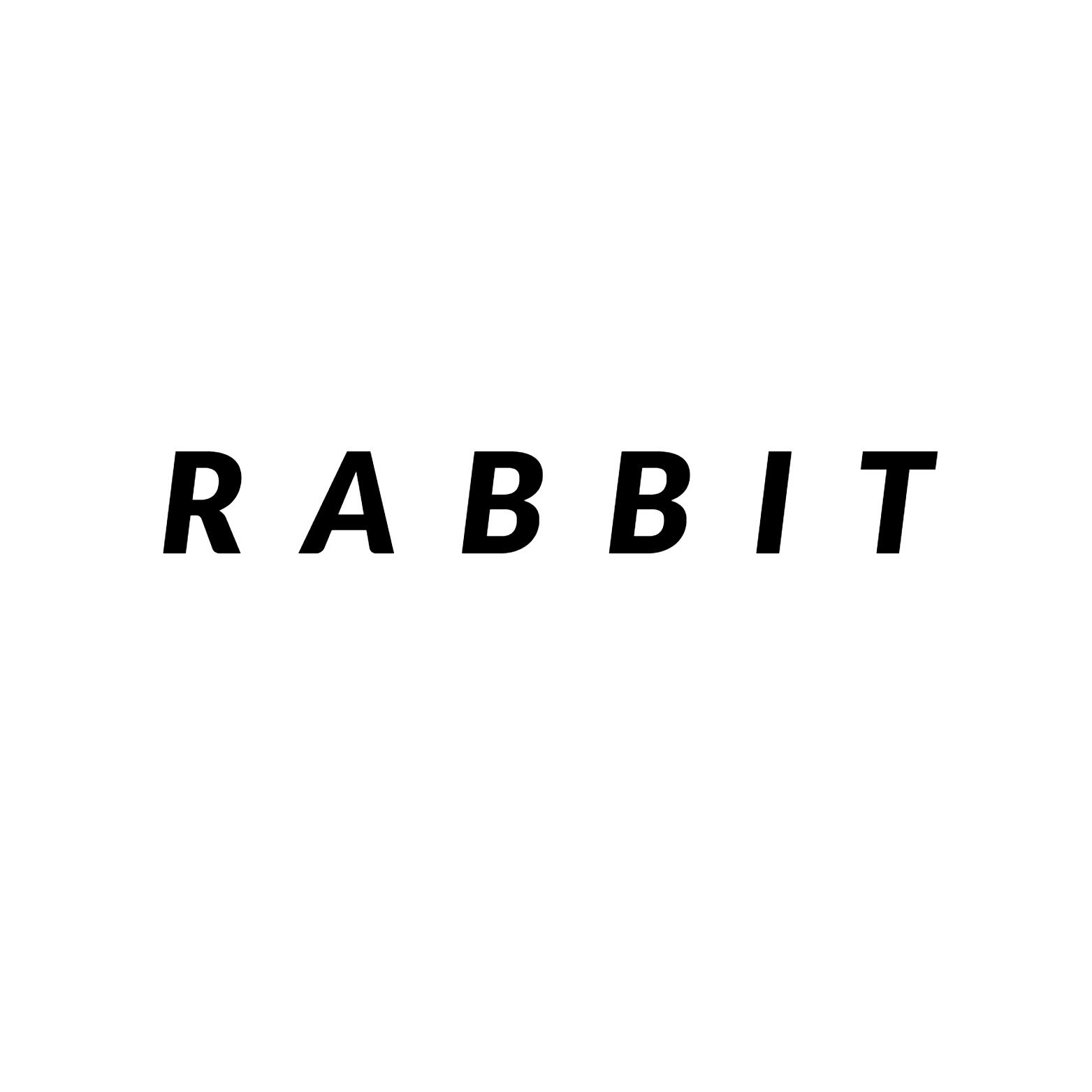 Discovery splash banner for Rabbit-Labs Discord server