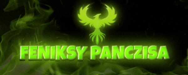 Discovery splash banner for FENIKSY Discord server