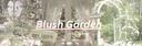 Discovery splash banner for ˚₊‧꒰˚ ノBlush Garden ˖꒱ ‧₊˚ Discord server