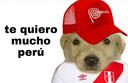Discovery splash banner for 👻 La Perú Gang Discord server
