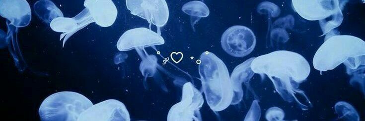 Discovery splash banner for ଳ 𓈒𓏲 ׁ 𝑱ᥱᥣlყ𝑓ιsh𓈒 ݁ ᣟ Discord server