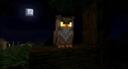 Discovery splash banner for Owl Client Discord server