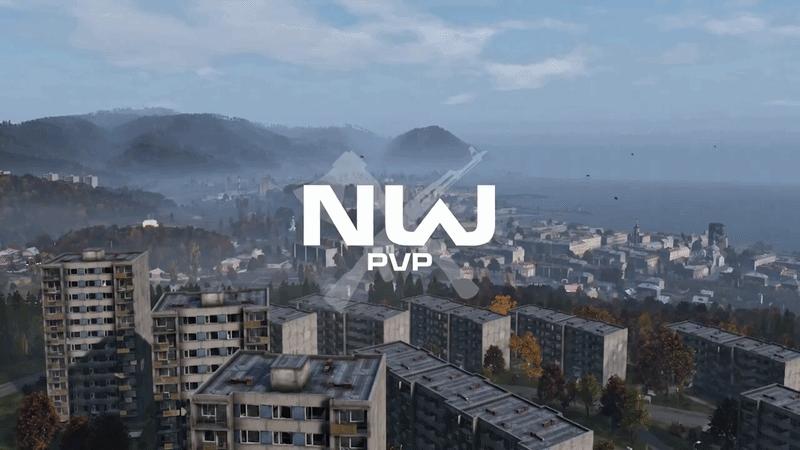 Discovery splash banner for New World | DayZ PVP Discord server