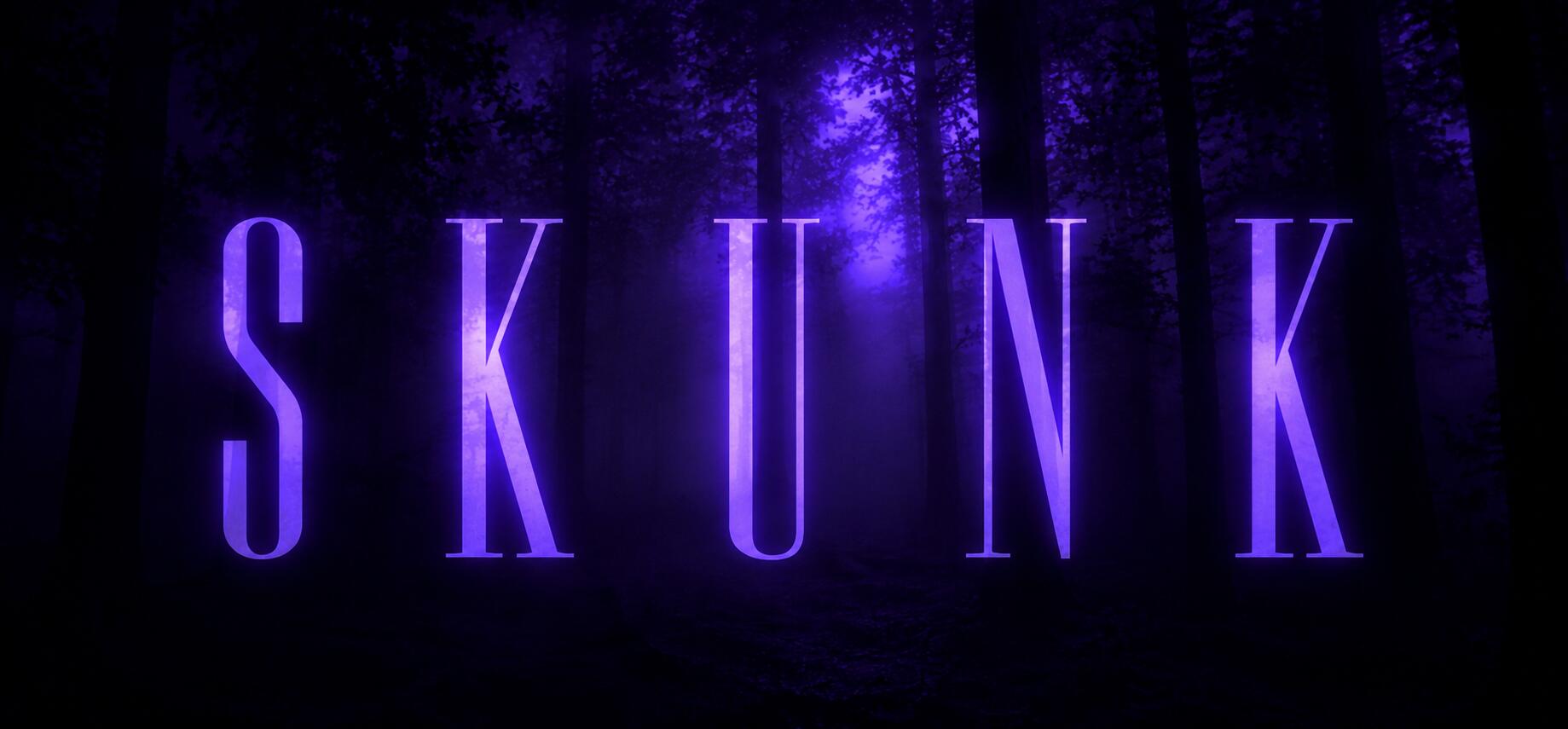 Discovery splash banner for skunk Discord server