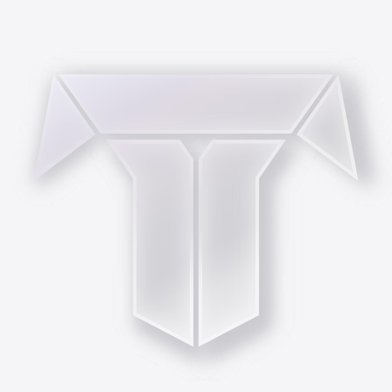 Discovery splash banner for Tailosive Network Discord server
