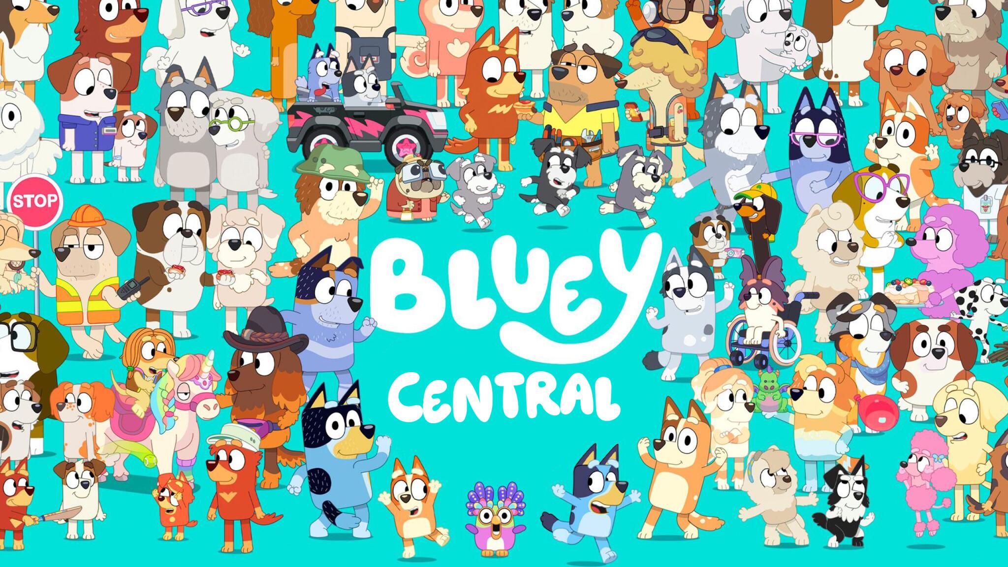 Discovery splash banner for Bluey Central Discord server