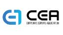 Discovery splash banner for Corporate Esports Association Discord server