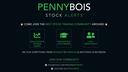 Discovery splash banner for Pennybois Stock Alerts | Day Trading Discord Discord server