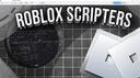 Discovery splash banner for Roblox Scripters Discord server