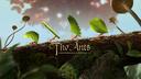 Discovery splash banner for The Ants Official Discord server