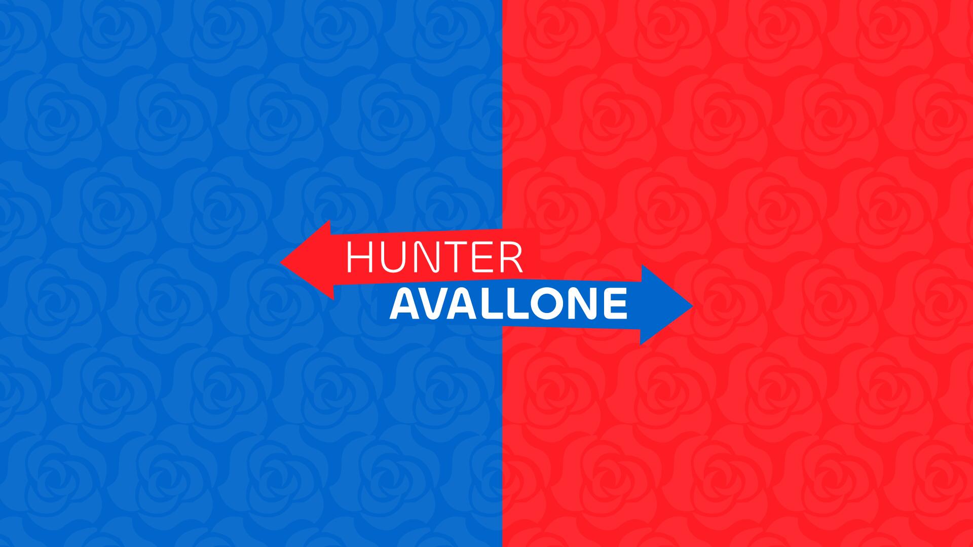 Discovery splash banner for Hunter Avallone Discord server