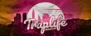 Discovery splash banner for TrapLife Discord server