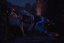 Discovery splash banner for Dead By Daylight PL Discord server