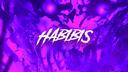 Discovery splash banner for Habibis Auction House Discord server