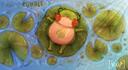 Discovery splash banner for KUHALE 🍀🐸 | Art Community ✤ Art & Commissions ✤ Buy Art ✤ Art Trades ✤ Events ✤ Games Discord server
