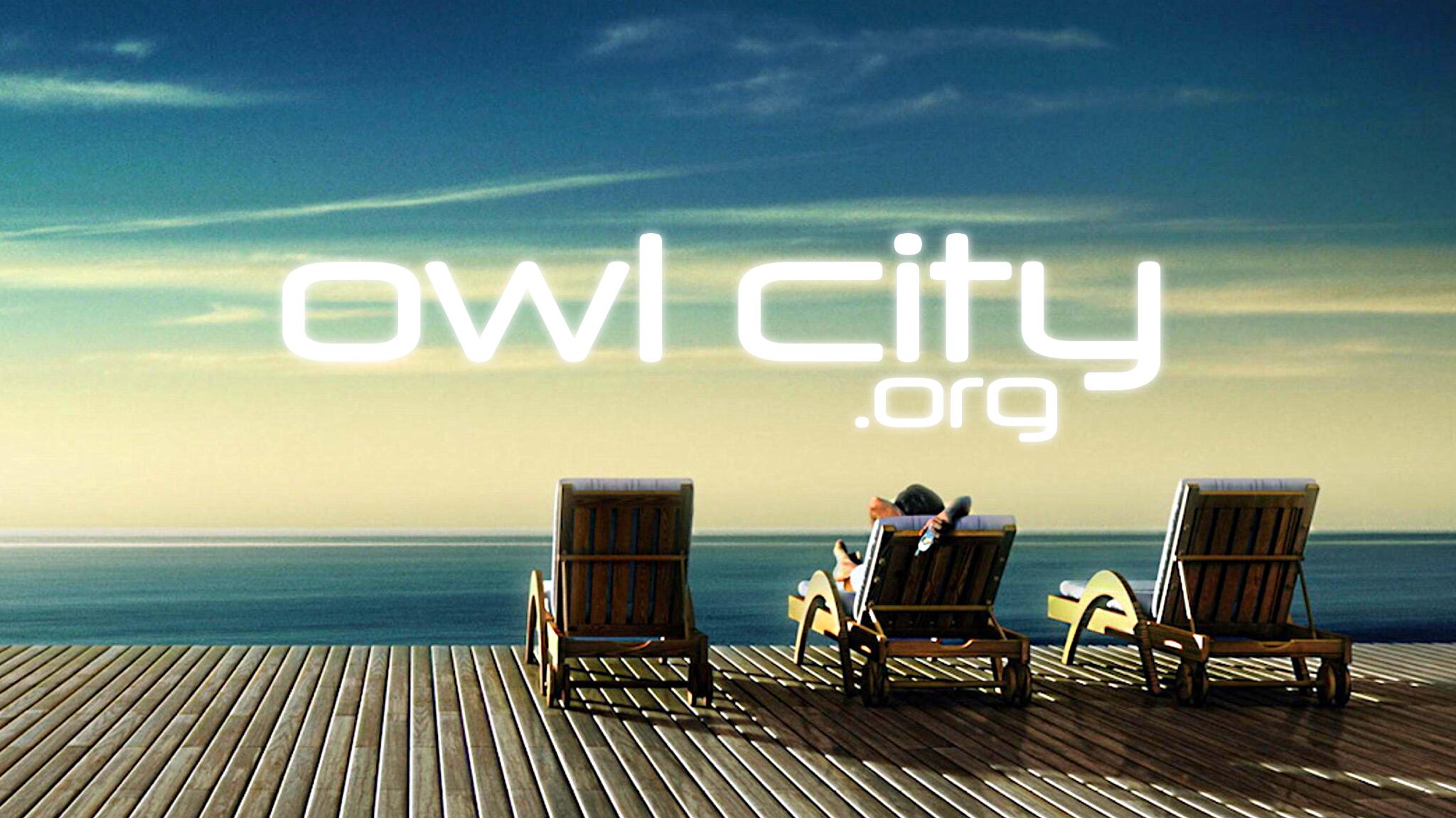 Discovery splash banner for Owl City Discord server