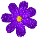 Discovery icon for β π―π½π πΉπππππ π±πππΆππΉπΆ β Discord server