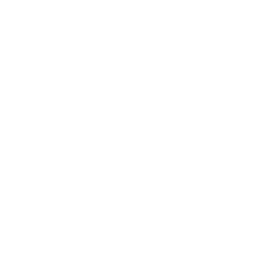 Discovery icon for Official Iron Order Server Discord server