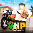 Discovery icon for Vida No Paraná RP Discord server
